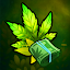 Hempire icon